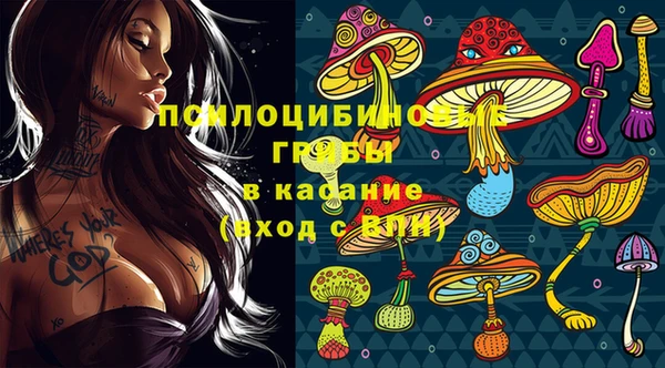 молекула духа Алзамай